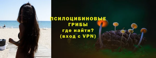 тгк Алексин