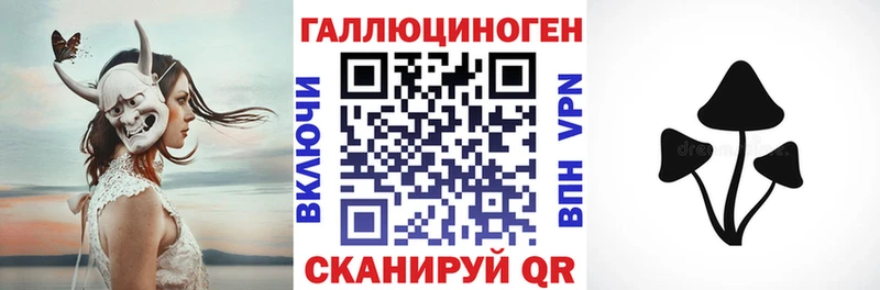 Галлюциногенные грибы Psilocybe  Зерноград 
