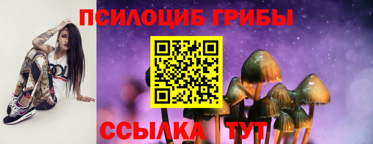 Галлюциногенные грибы GOLDEN TEACHER Зерноград